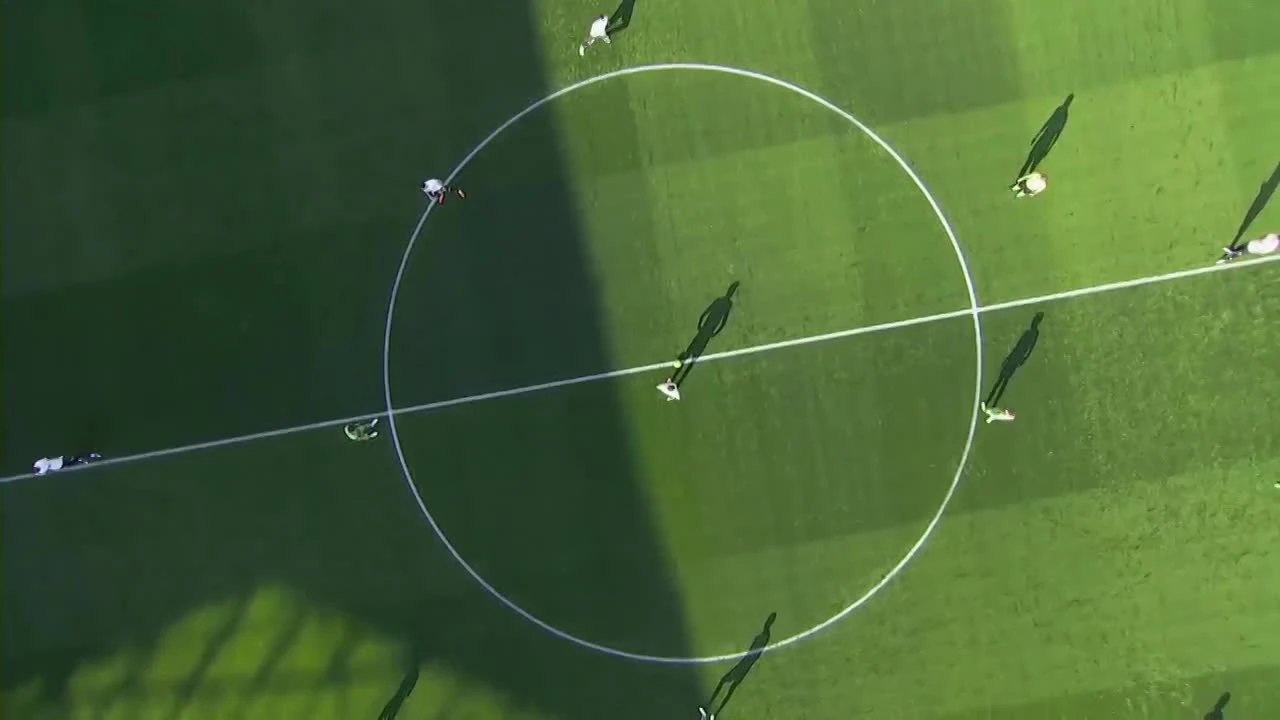 zaslepka skrotu video