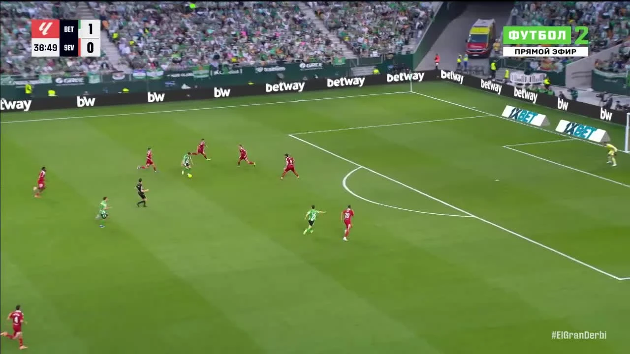 zaslepka skrotu video