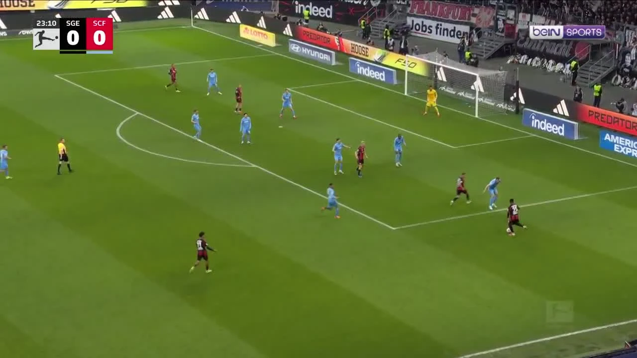 zaslepka skrotu video