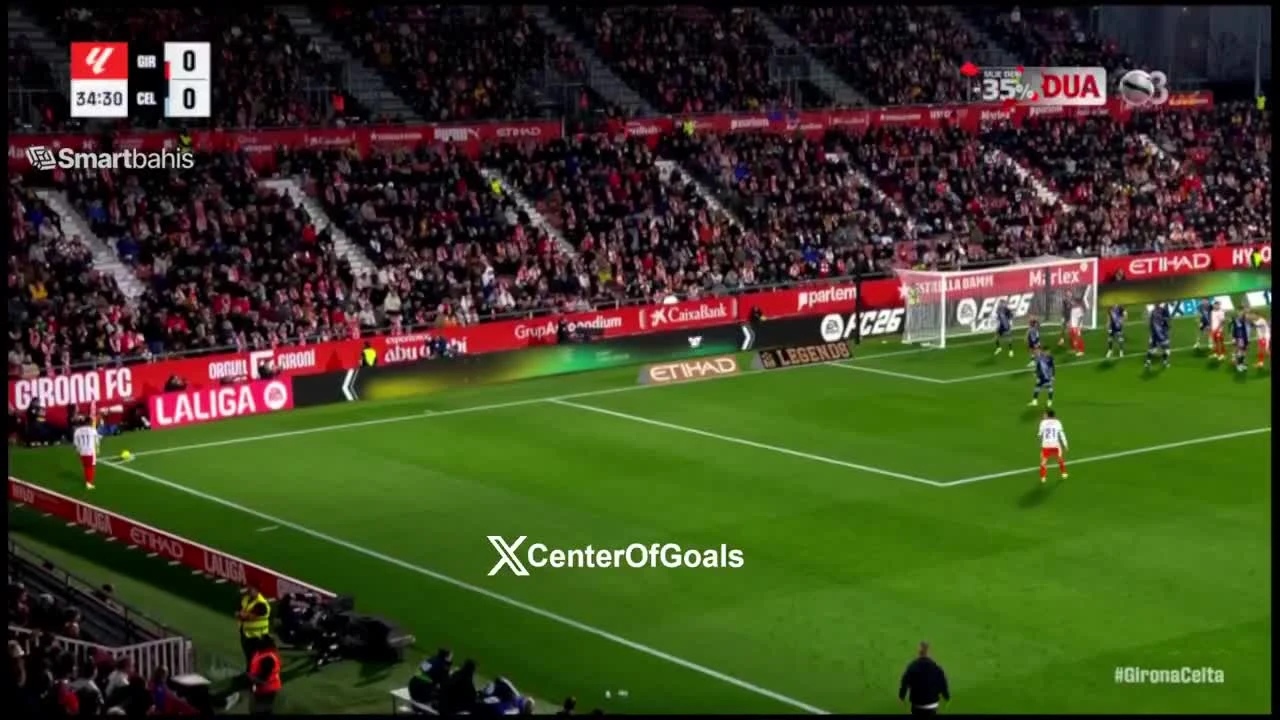 zaslepka skrotu video