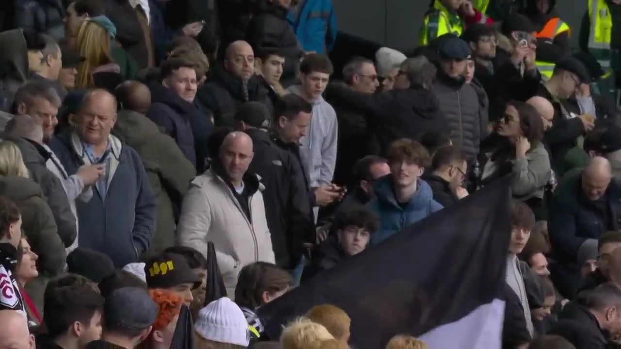 zaslepka skrotu video