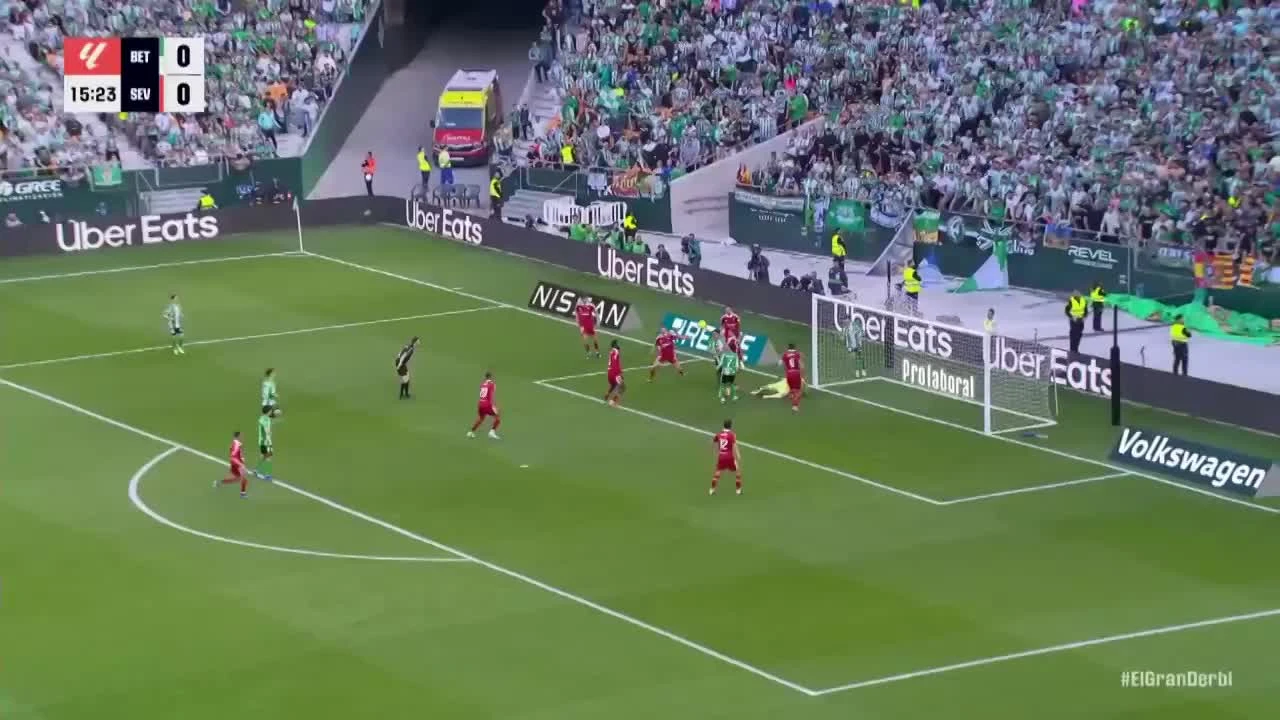 zaslepka skrotu video