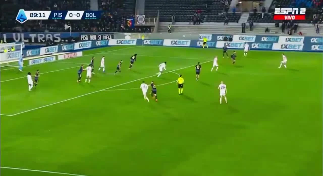 zaslepka skrotu video