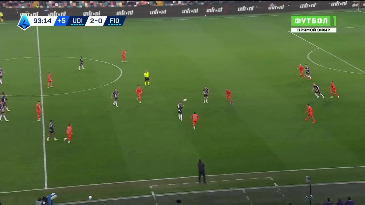 zaslepka skrotu video