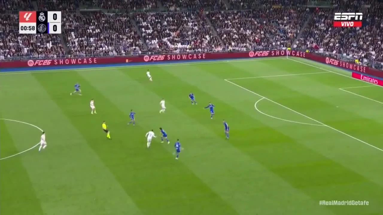 zaslepka skrotu video