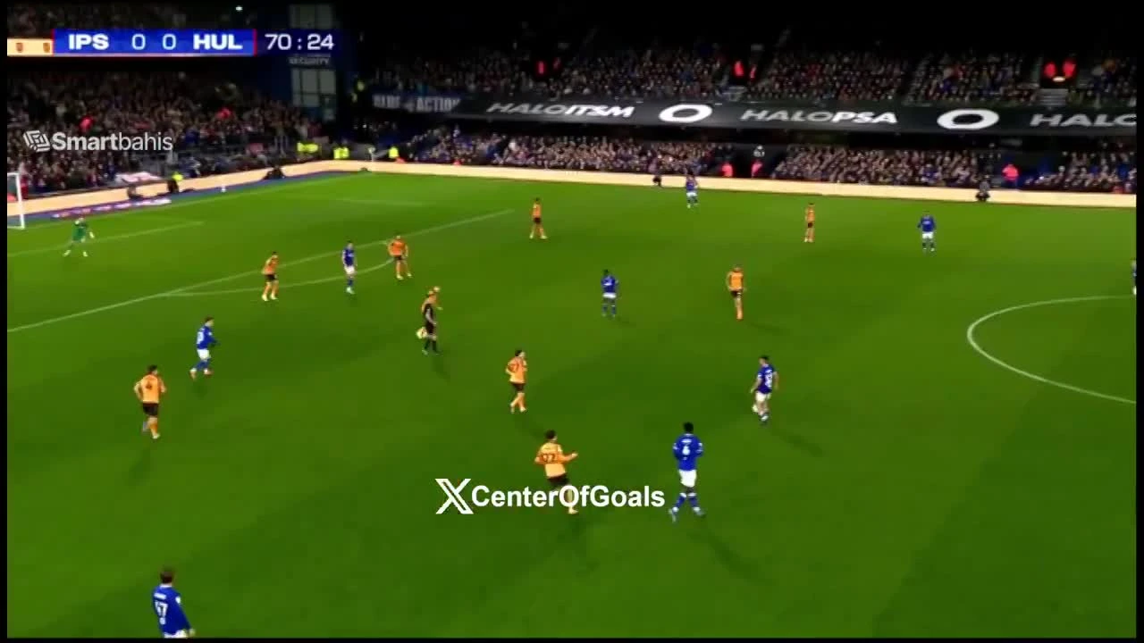 zaslepka skrotu video