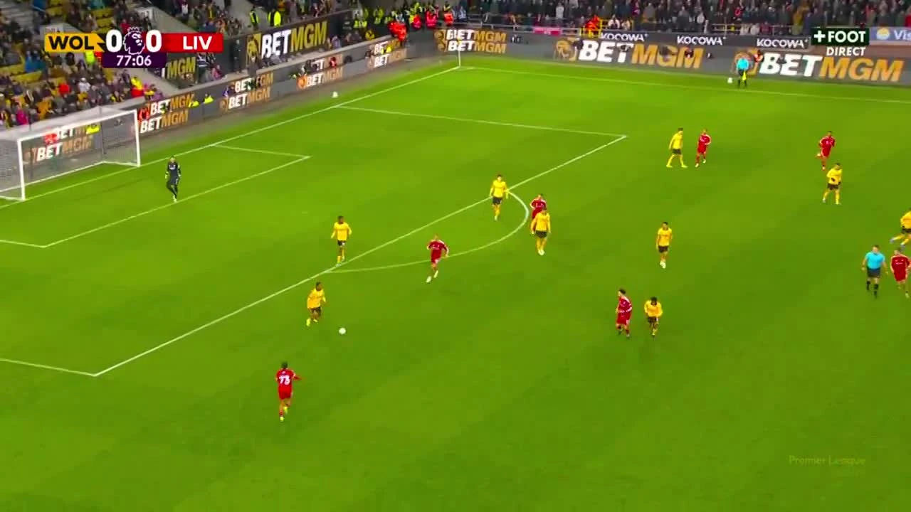 zaslepka skrotu video