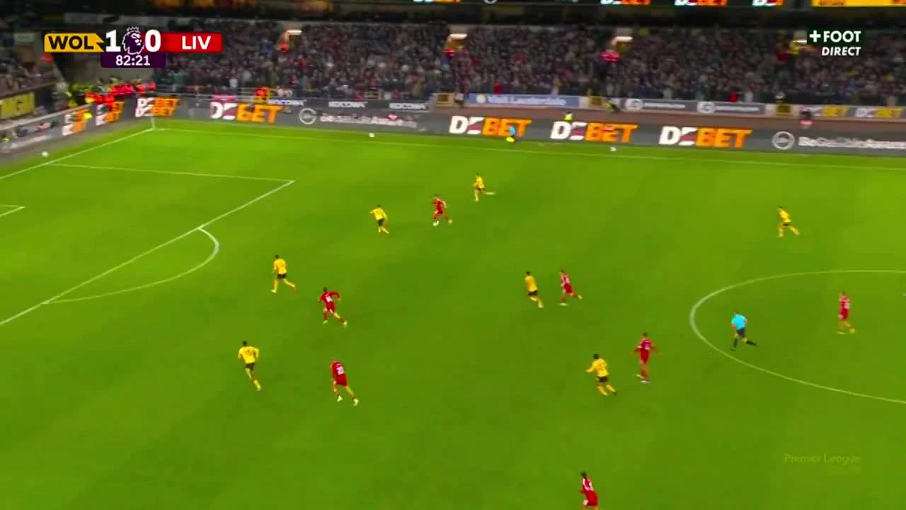 zaslepka skrotu video