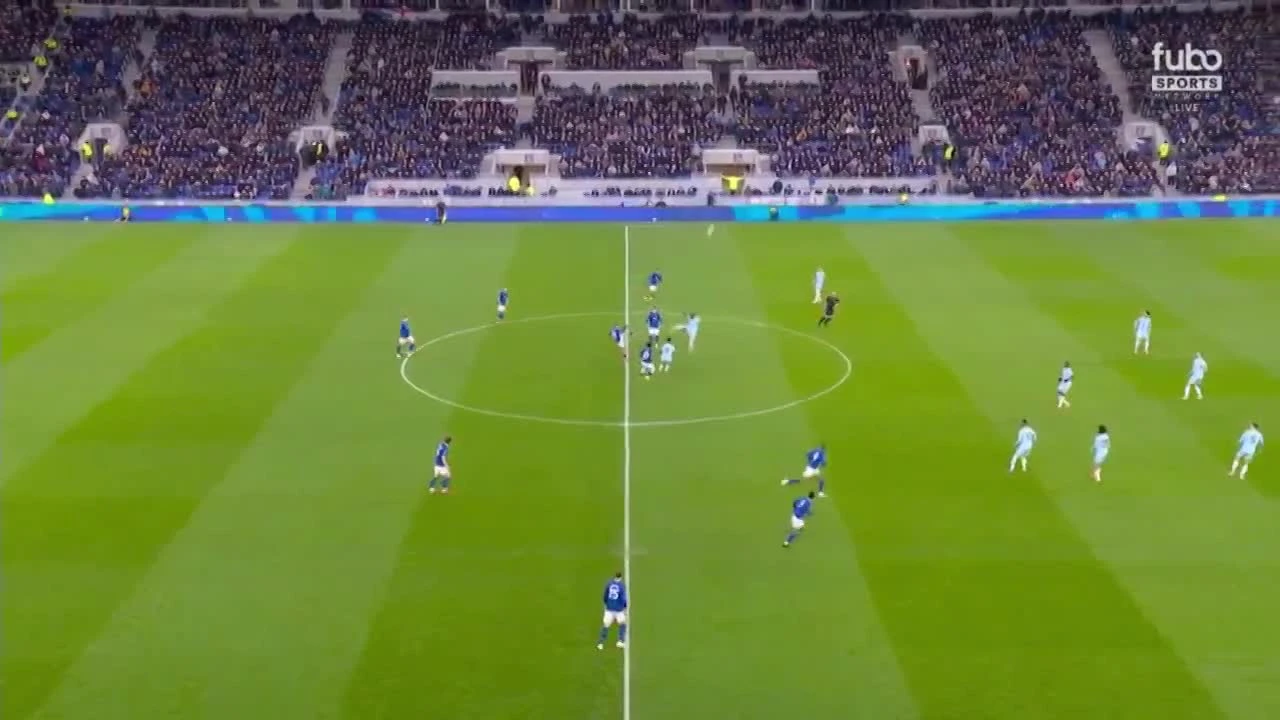 zaslepka skrotu video