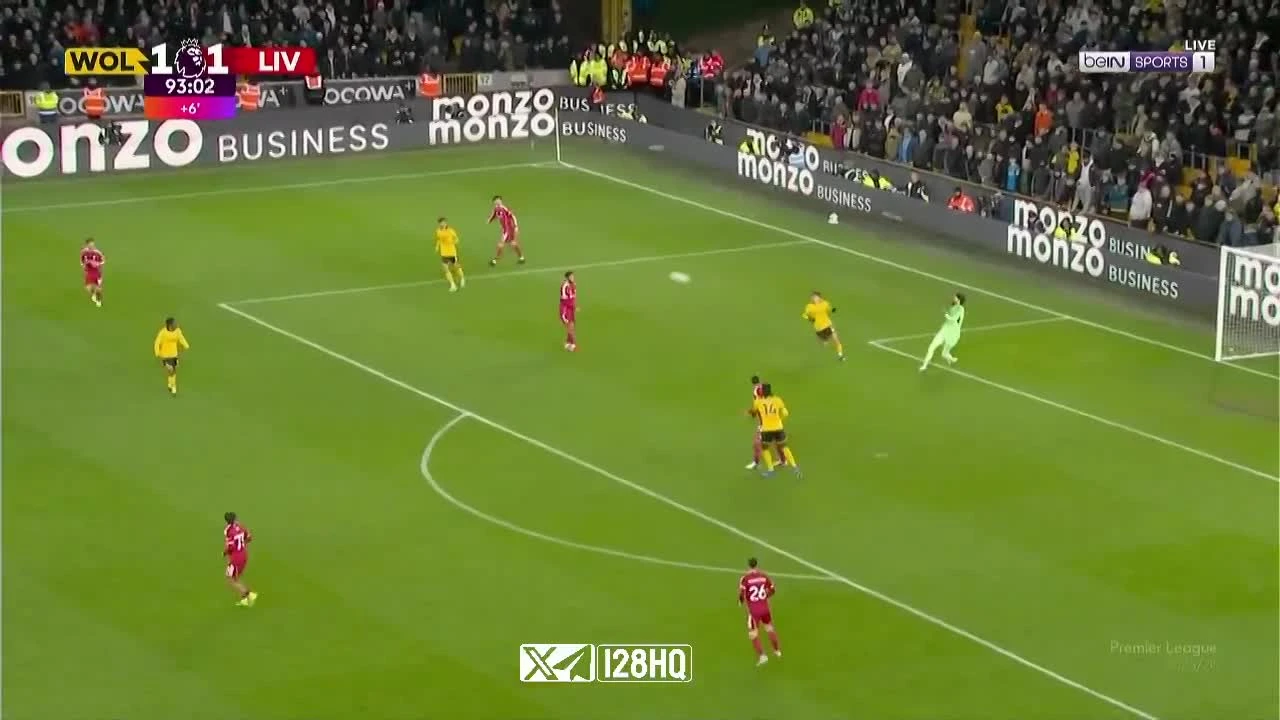 zaslepka skrotu video