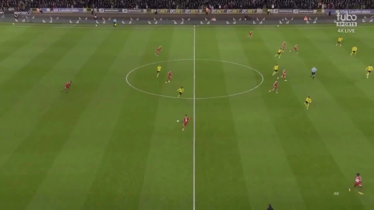 zaslepka skrotu video