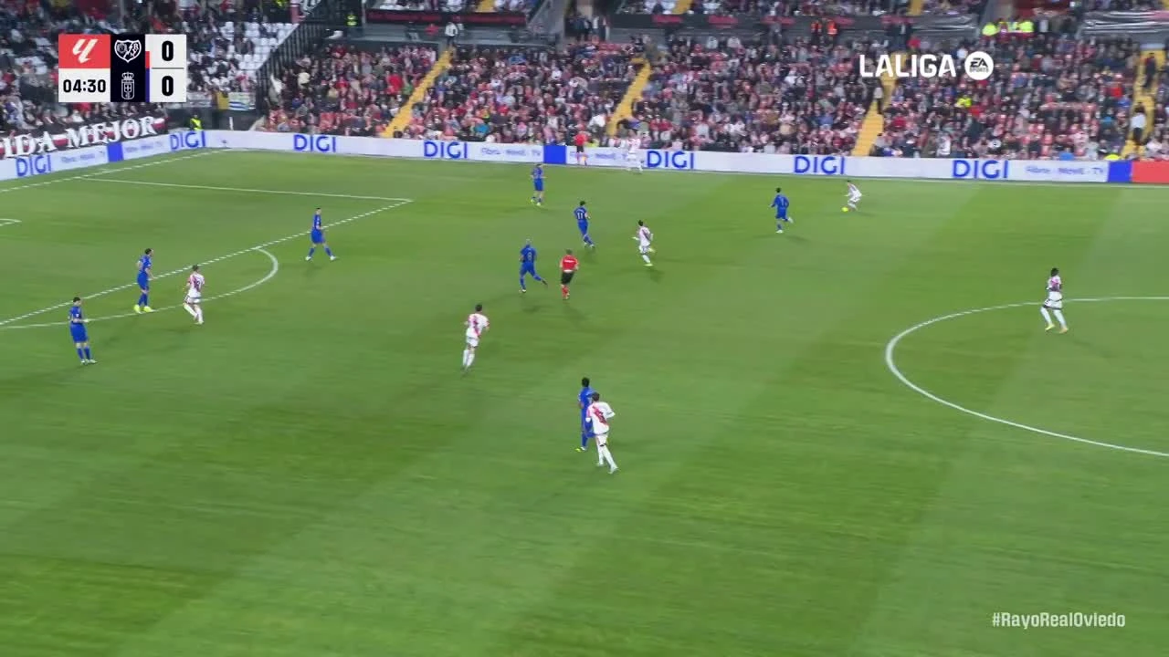 zaslepka skrotu video