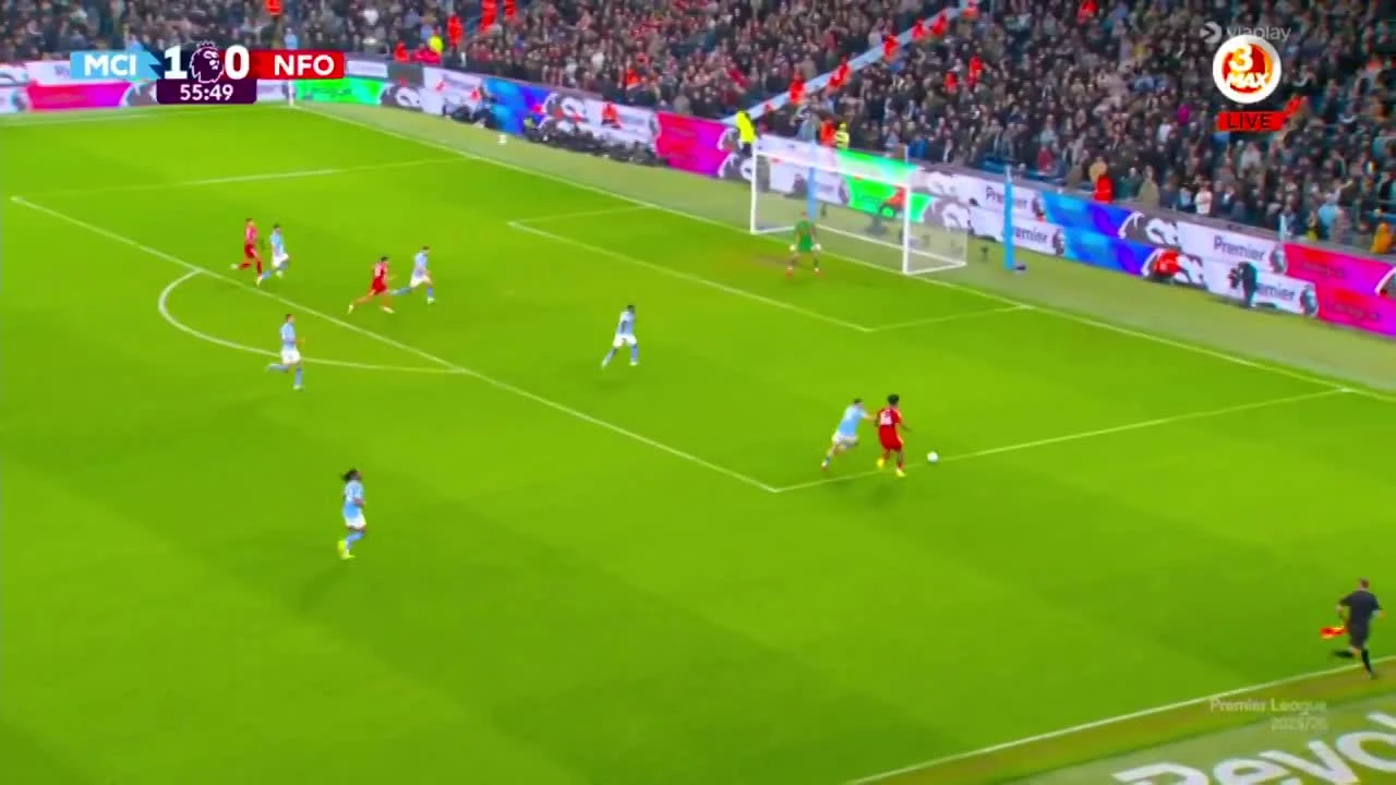 zaslepka skrotu video