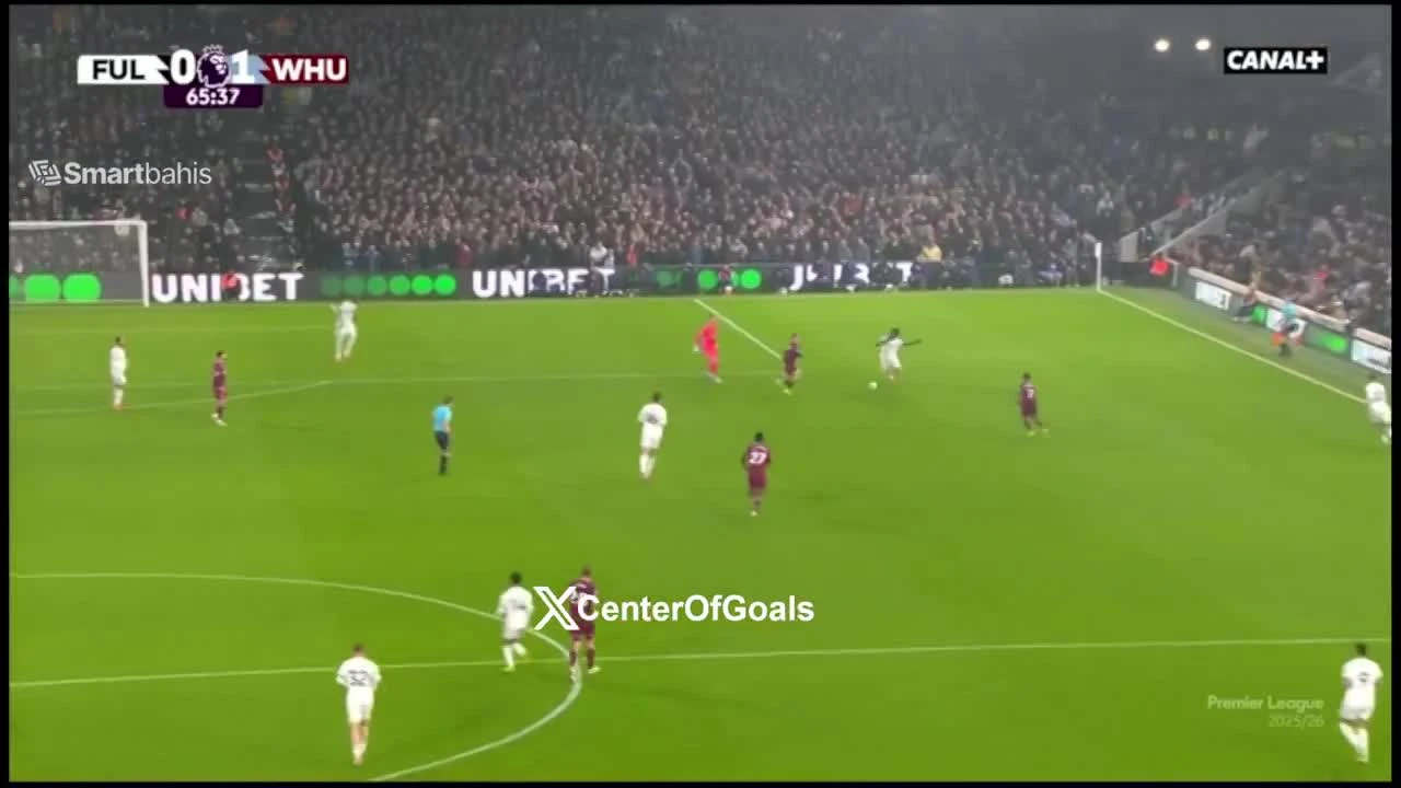 zaslepka skrotu video