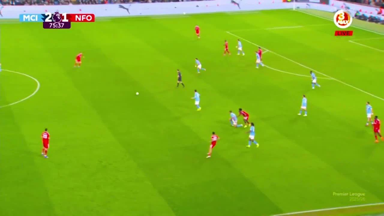 zaslepka skrotu video