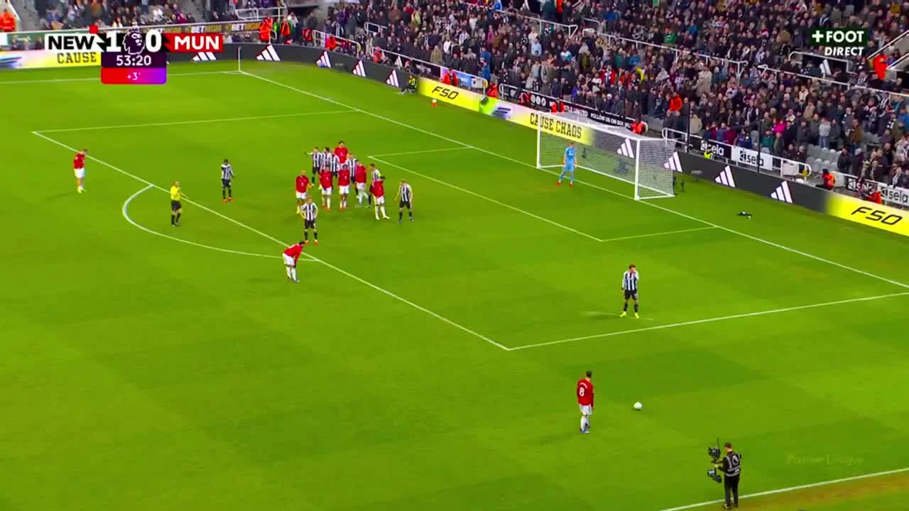 zaslepka skrotu video