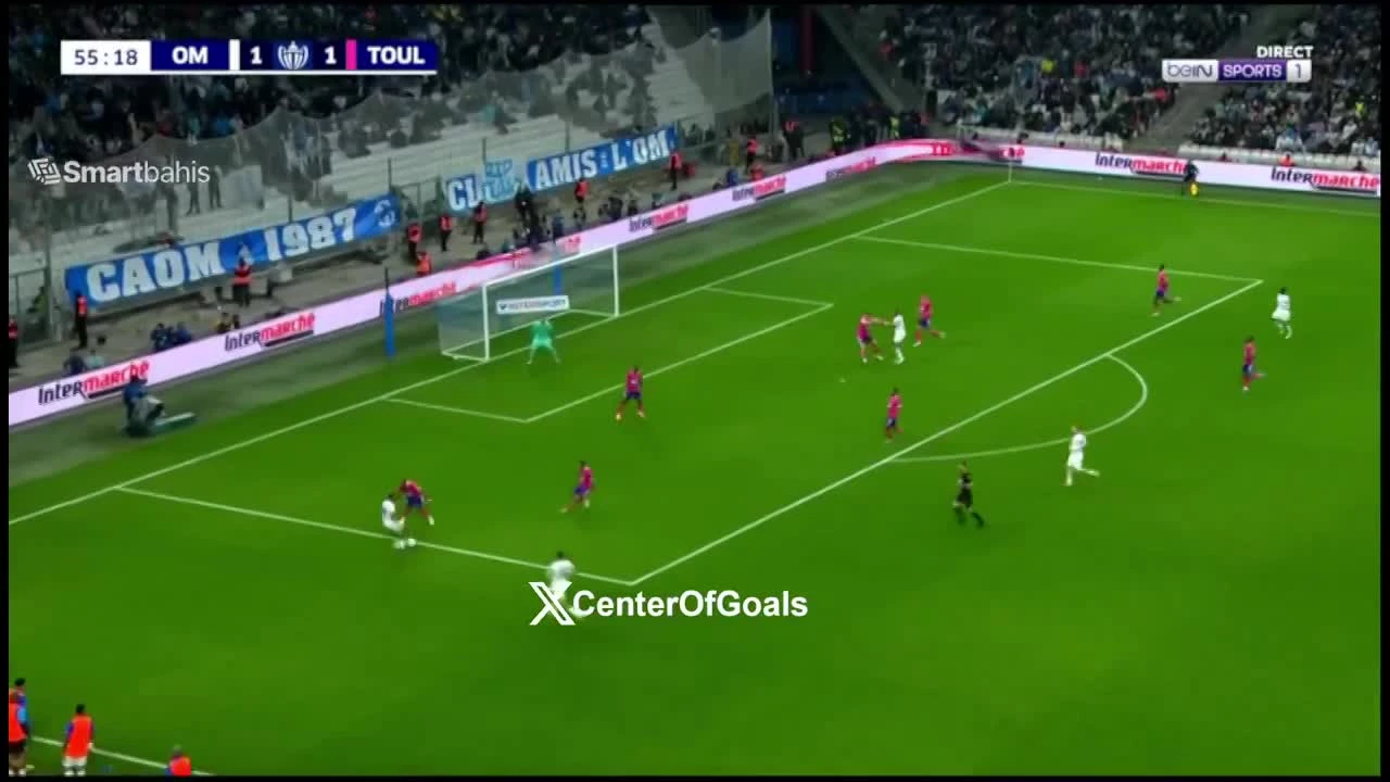 zaslepka skrotu video