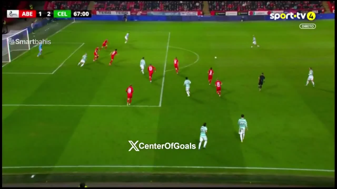 zaslepka skrotu video