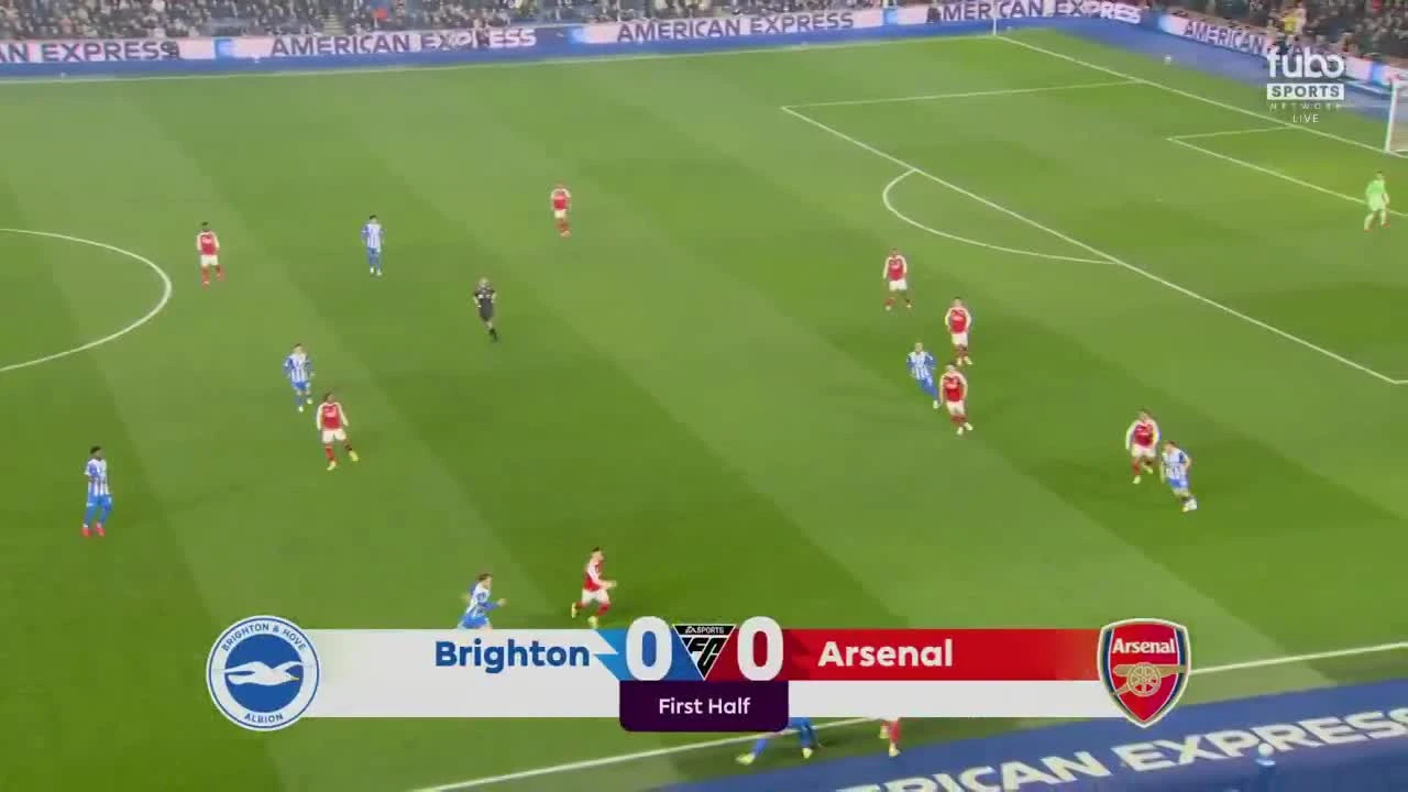 zaslepka skrotu video