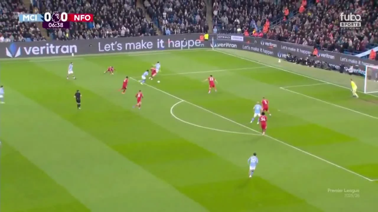 zaslepka skrotu video