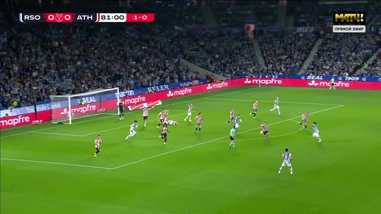 zaslepka skrotu video