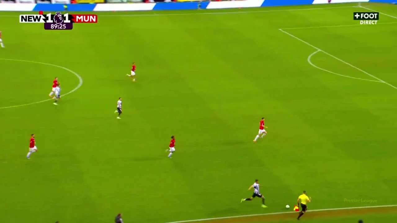 zaslepka skrotu video