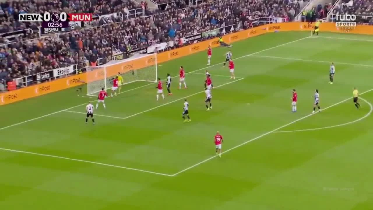 zaslepka skrotu video