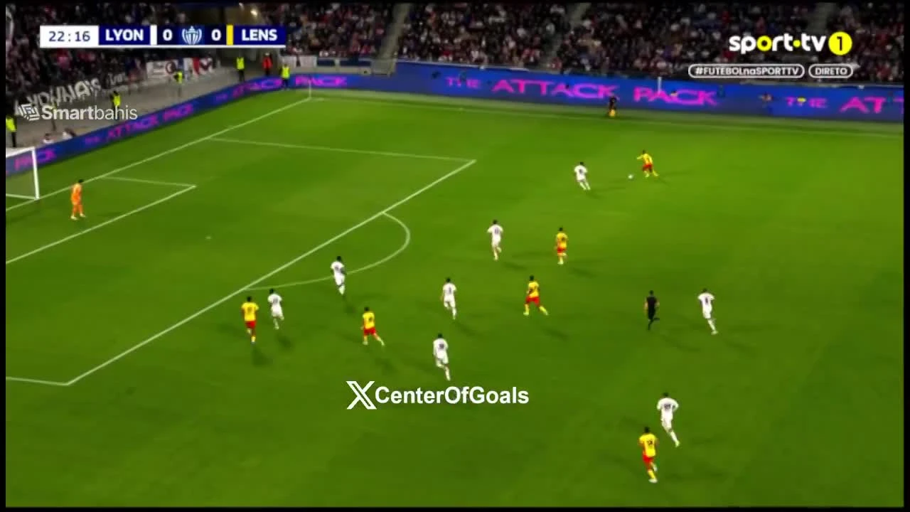 zaslepka skrotu video