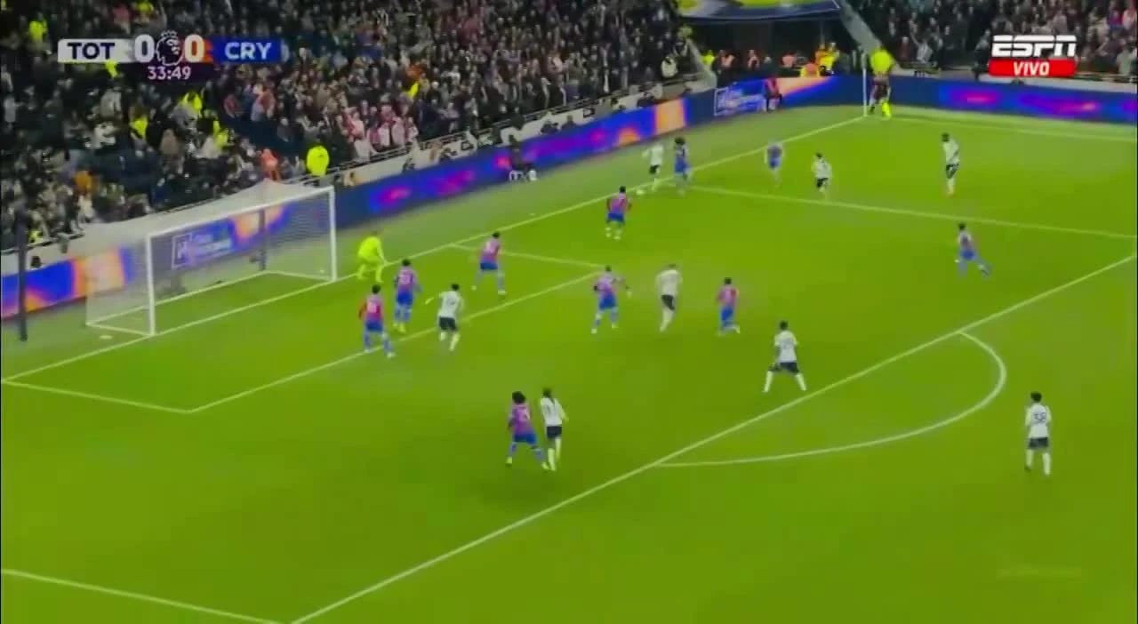 zaslepka skrotu video