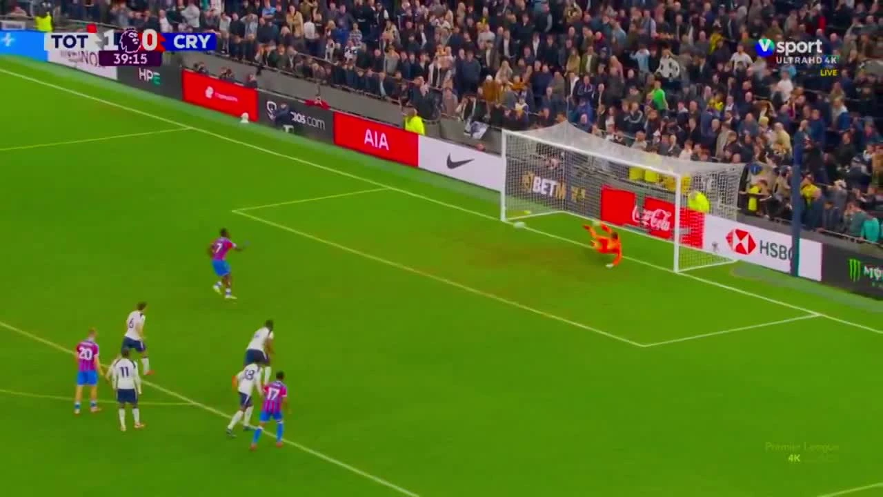 zaslepka skrotu video