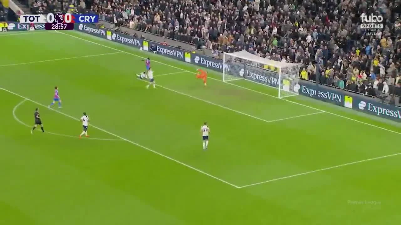 zaslepka skrotu video