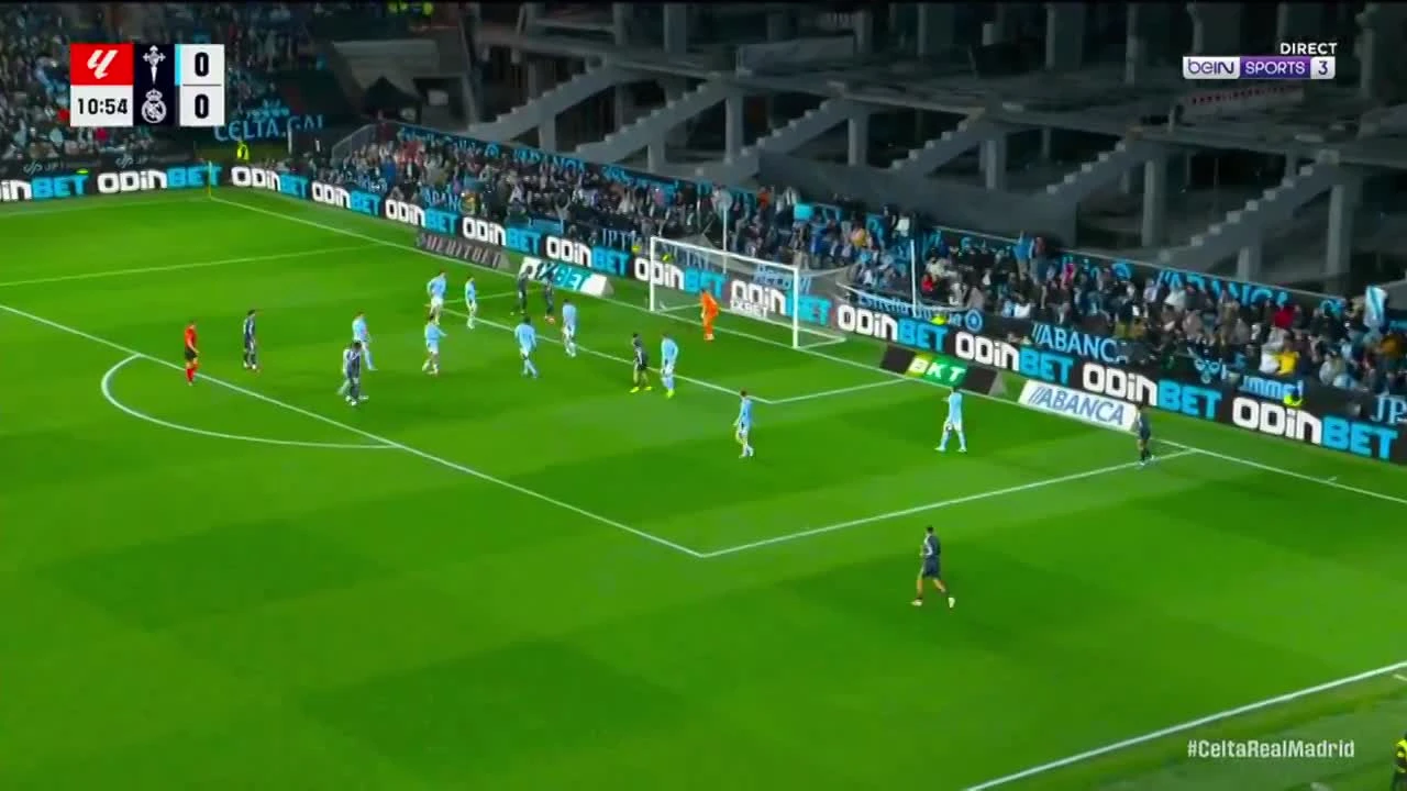 zaslepka skrotu video