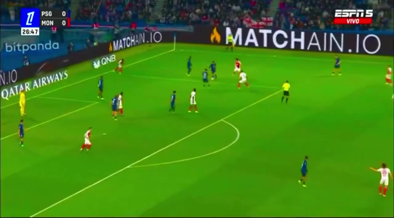 zaslepka skrotu video