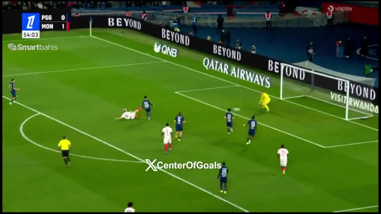 zaslepka skrotu video