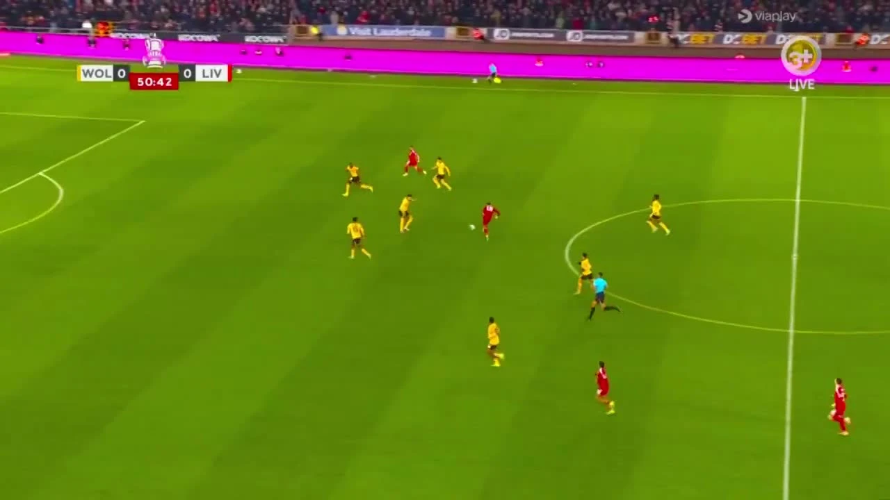 zaslepka skrotu video