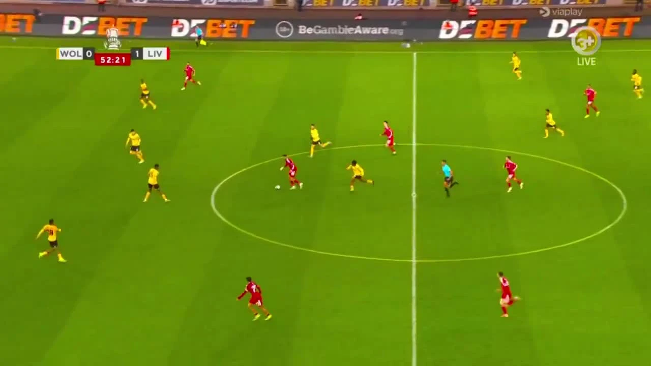 zaslepka skrotu video