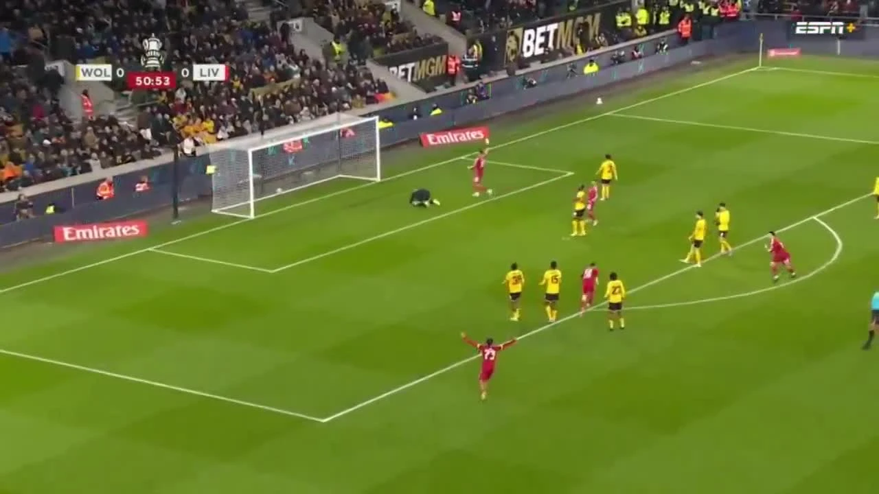 zaslepka skrotu video