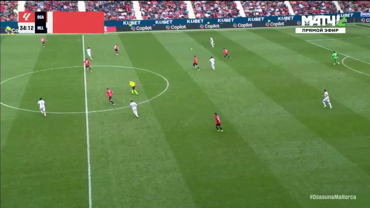 zaslepka skrotu video