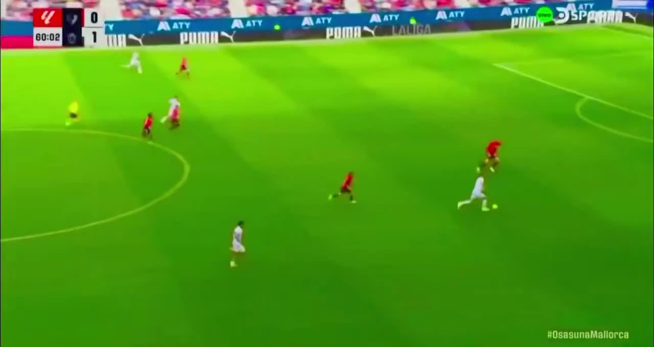 zaslepka skrotu video