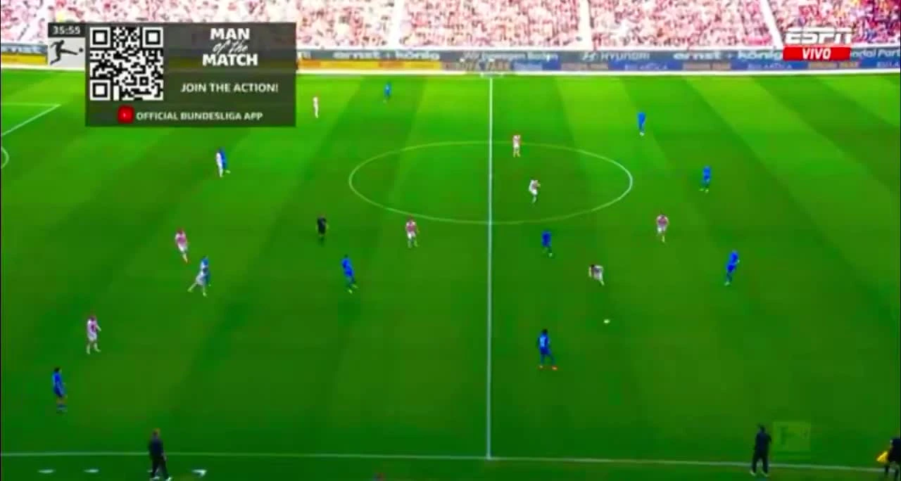 zaslepka skrotu video