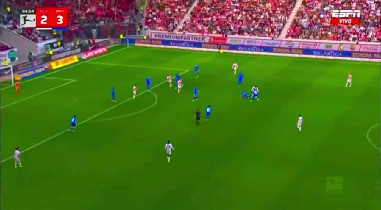 zaslepka skrotu video