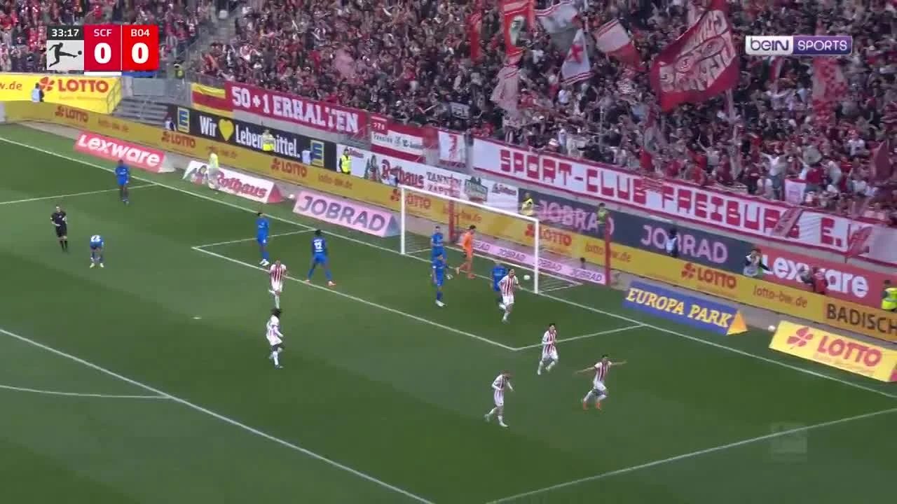 zaslepka skrotu video