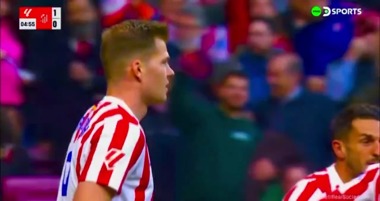 zaslepka skrotu video