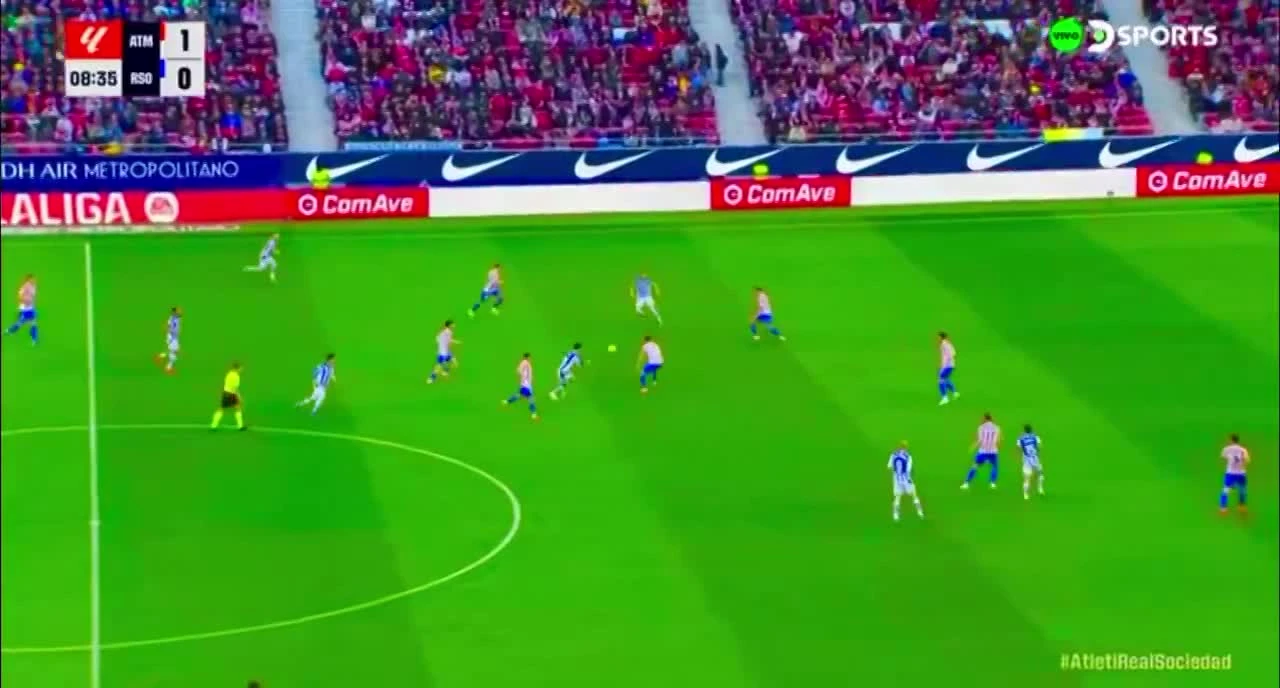 zaslepka skrotu video