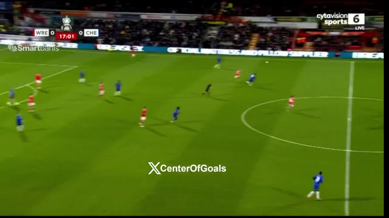 zaslepka skrotu video