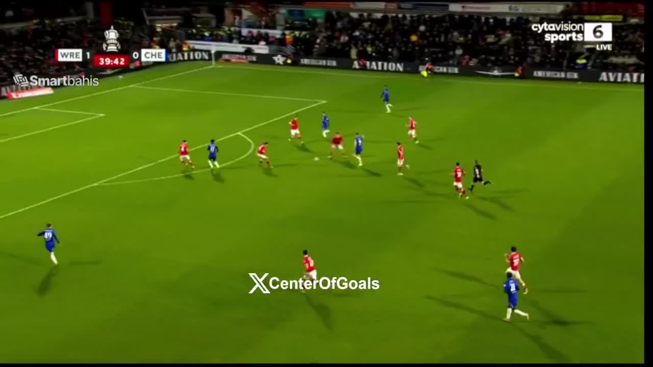 zaslepka skrotu video