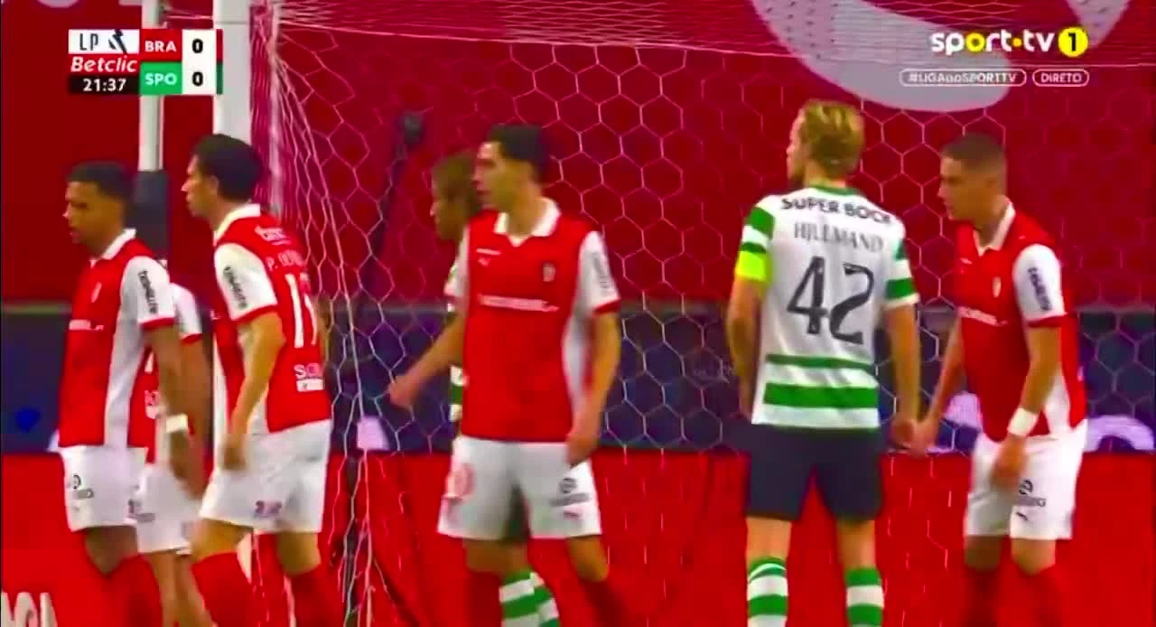 zaslepka skrotu video