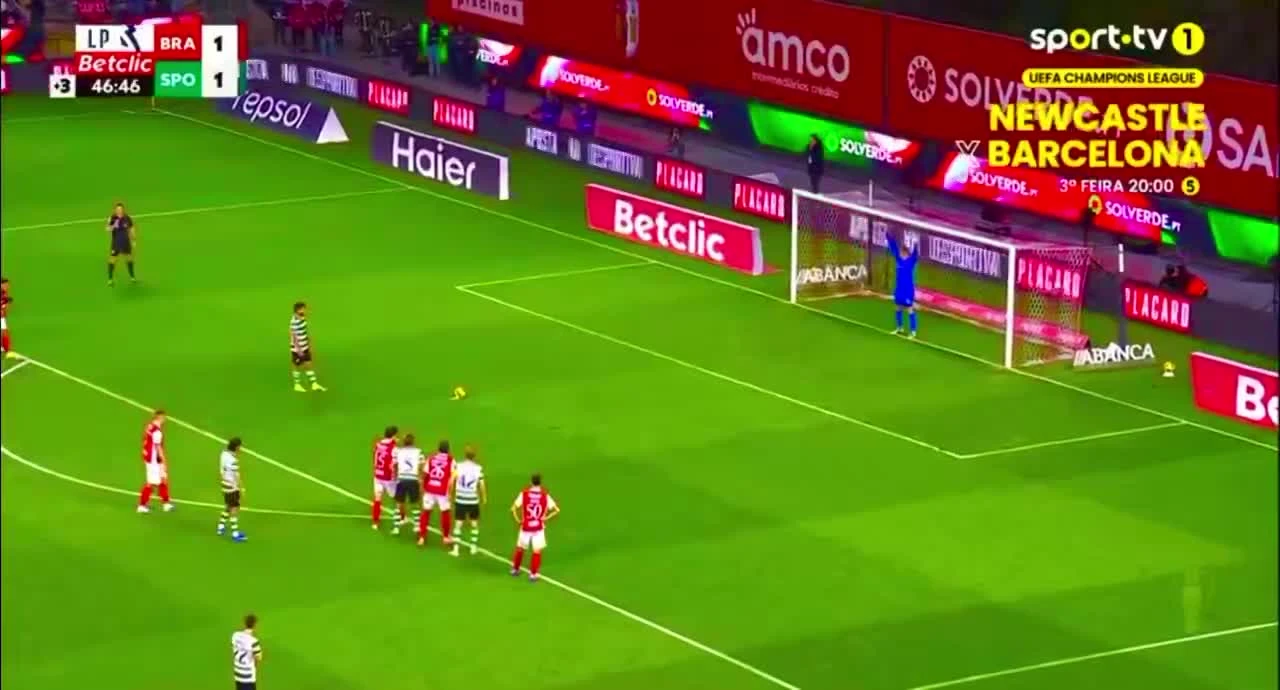 zaslepka skrotu video