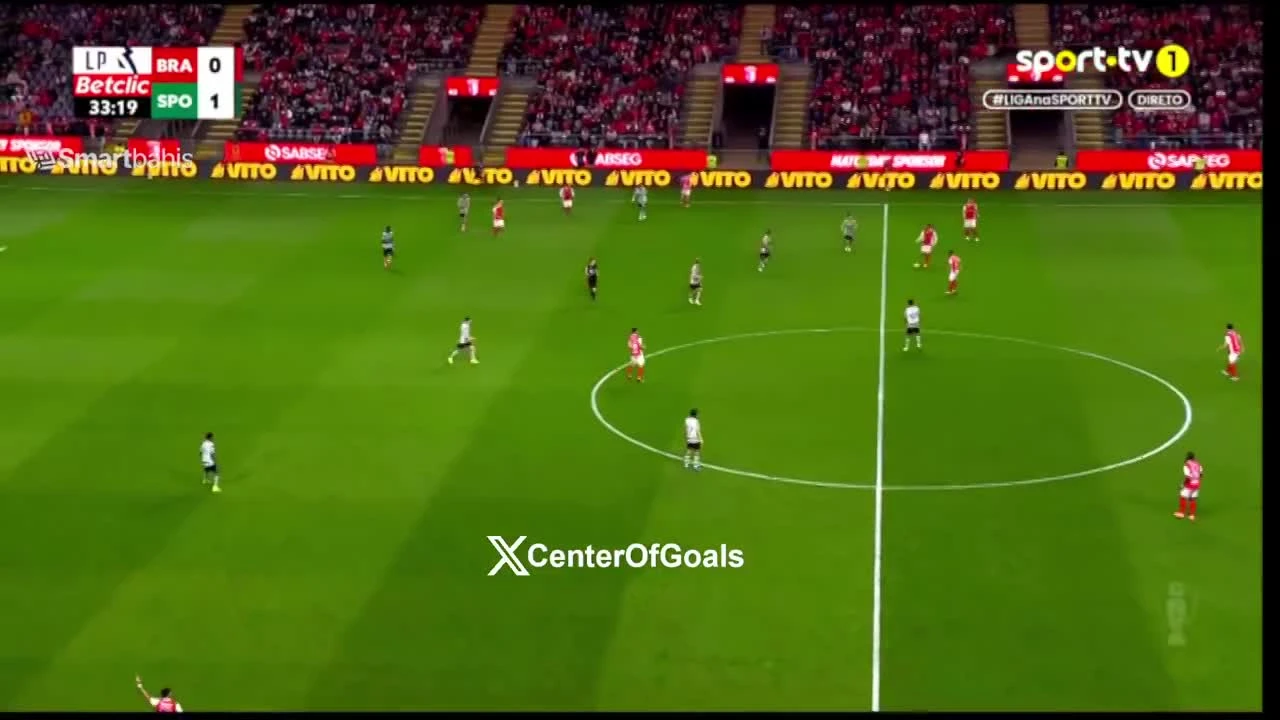 zaslepka skrotu video