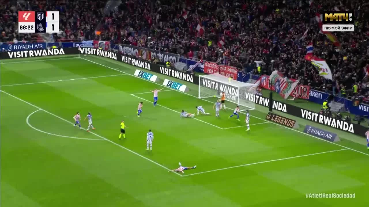 zaslepka skrotu video